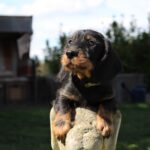 Bild 2 5.10.26